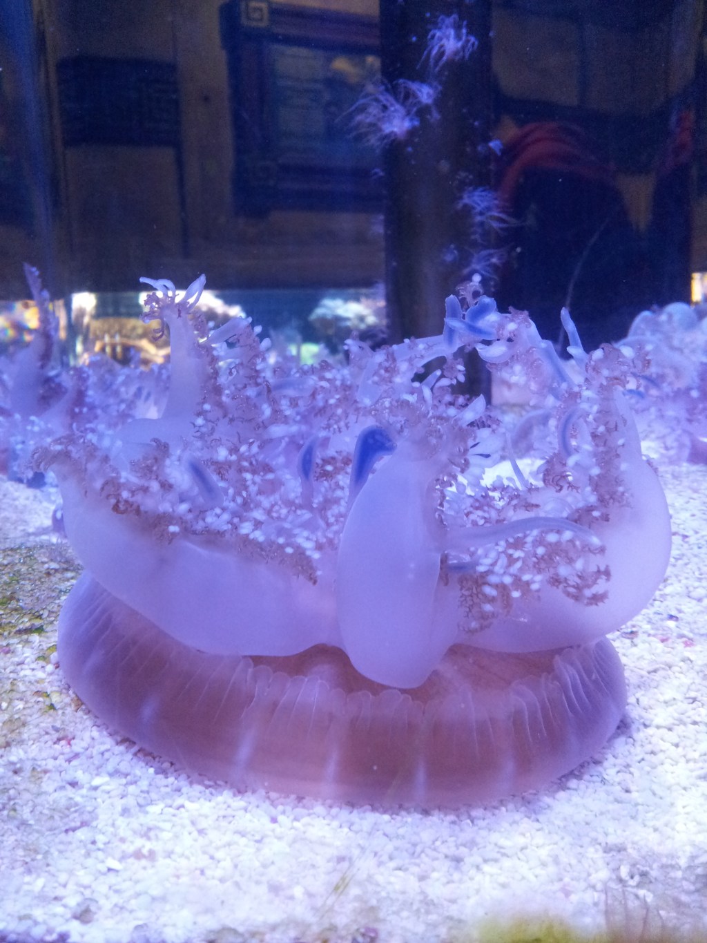 Perspective and Timing